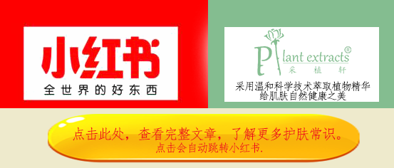 男阳茎进女阳道视频大全
